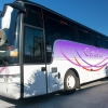 Autocar VAN HOOL T916 ACRON